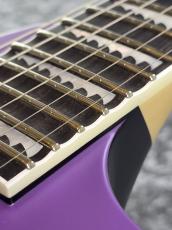 ESP ALEXI RIPPED【Alexi Laiho Signature Model】チョイ傷アウトレット特価品_5