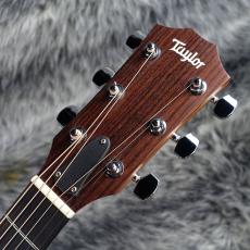 Taylor 114ce ES1_3
