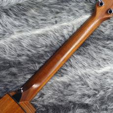 Taylor 114ce ES1_7