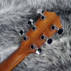 Taylor 114ce ES1_8