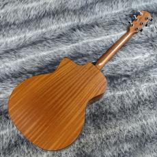 Taylor 114ce ES1_9