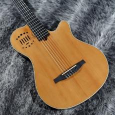 Godin Multiac Grand Concert Duet Ambiance