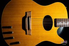 Buscarino Starlight Steel Strings / 1993_3