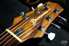 Buscarino Starlight Steel Strings / 1993_4