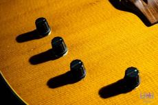Buscarino Starlight Steel Strings / 1993_6