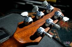 Buscarino Starlight Steel Strings / 1993_7