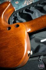 Buscarino Starlight Steel Strings / 1993_8
