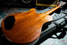 Buscarino Starlight Steel Strings / 1993_9