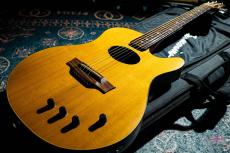 Buscarino Starlight Steel Strings / 1993_11
