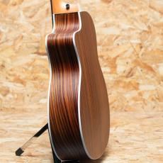 Taylor 214ce RW Special Edition Honeyburst_5