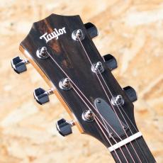 Taylor 214ce RW Special Edition Honeyburst_8