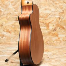 Taylor 112ce Special Edition Honeyburst_5