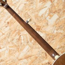 Deering Terry Baucom Model 2012_7