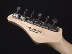 SCHECTER OL-TE-2H-FXD ~Dakota Red~_9