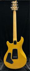 Paul Reed Smith [PRS] SE CE24 Standard Satin  -Metallic Gold-【2024年製】【CTI G058725】【3.16kg】_5