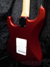 FUJIGEN BCST100RBD CAR_3