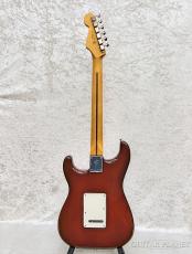 Fender Player II Stratocaster-Transparent Mocha Burst-【チェンバードマホガニーボディ】【MXS24057637】_4