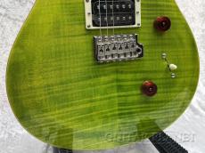 Paul Reed Smith [PRS] SE Custom 24 -Eriza Verde-【2024年製】【CTI G005749】【3.46kg】_3
