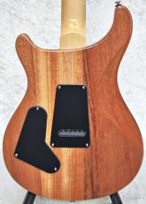 Paul Reed Smith [PRS] 【限定モデル】SE Custom 24 Burled Ash Limited Edition -Natural-_2