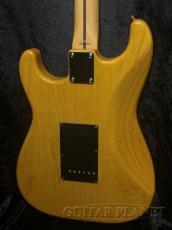 Tokai AST-102 /R VNT_3