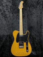 FUJIGEN NTE100MAH VNT_2