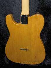 FUJIGEN NTE100MAH VNT_3