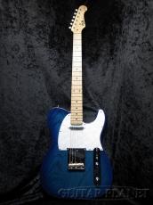 FUJIGEN NTE100MAH SBB_2