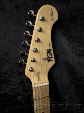 FUJIGEN NTE100MAH SBB_4