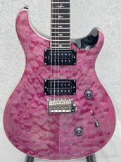 Paul Reed Smith [PRS] SE Custom 24 Quilt Package -Violet-【2025年製】【CTI H004479】【3.81kg】