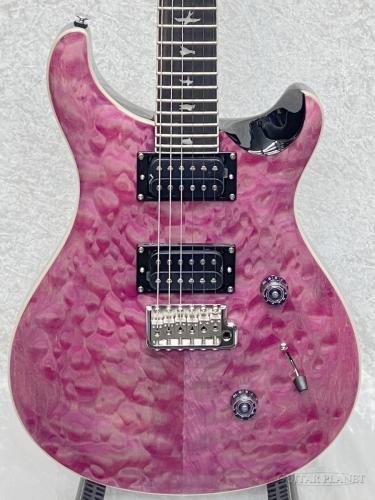 Paul Reed Smith [PRS] SE Custom 24 Quilt Package -Violet-【2025年製】【CTI H004479】【3.81kg】