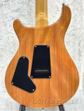 Paul Reed Smith [PRS] SE Custom 24 Quilt Package -Eriza Verde-【2023年製】【CTI F021038】【3.64kg】_6