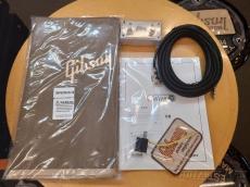 Gibson Falcon 20 1x12 Combo -Cream Bronco Vinyl with Oxblood Grille-【ギブソンフロア取扱品】_7