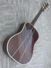 Shelly SYM-D50M SP_2
