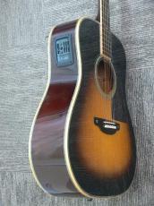 Shelly SYM-D50M SP_5