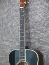 Shelly SYM-D50M SP_9