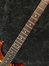 Paul Reed Smith [PRS] DGT Semi Hollow Limited Edition -McCarty Sunburst- 2024【世界200本限定生産】_9