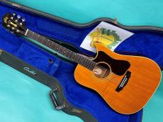 Guild D-40C