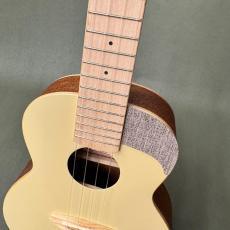 aNueNue UC10_2