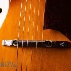 Ibanez GB20BS Mod_4
