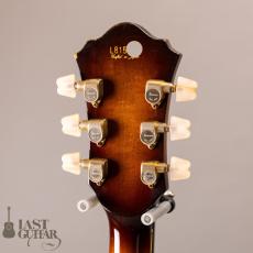 Ibanez GB20BS Mod_8
