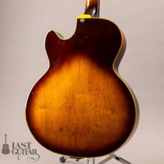 Ibanez GB20BS Mod_10