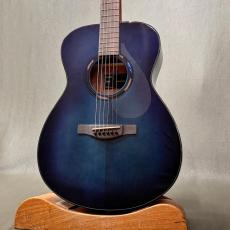 YAMAHA TAS1E UM