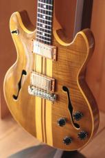 Aria Pro II SH-800_3