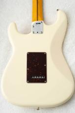 Fender American Professional II Stratocaster Olympic White_8