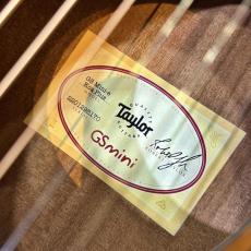Taylor 【試奏動画あり】GS Mini-e Koa Plus #2201295170【魅惑のトップ杢】【送料当社負担】【池袋店在庫品】_10