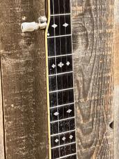 Tokai T-650R Archtop_4