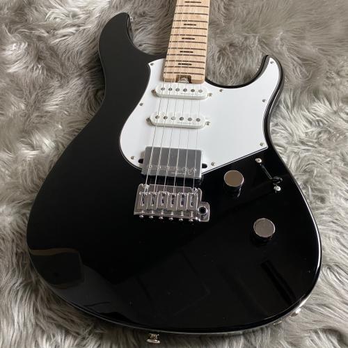 YAMAHA LPACS+12M BL 【Pacifica Standard Plus】【現物画像】【最大36回分割無金利キャンペーン実施中】