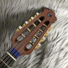 CALACE Ripa【Topセラック塗装】_3