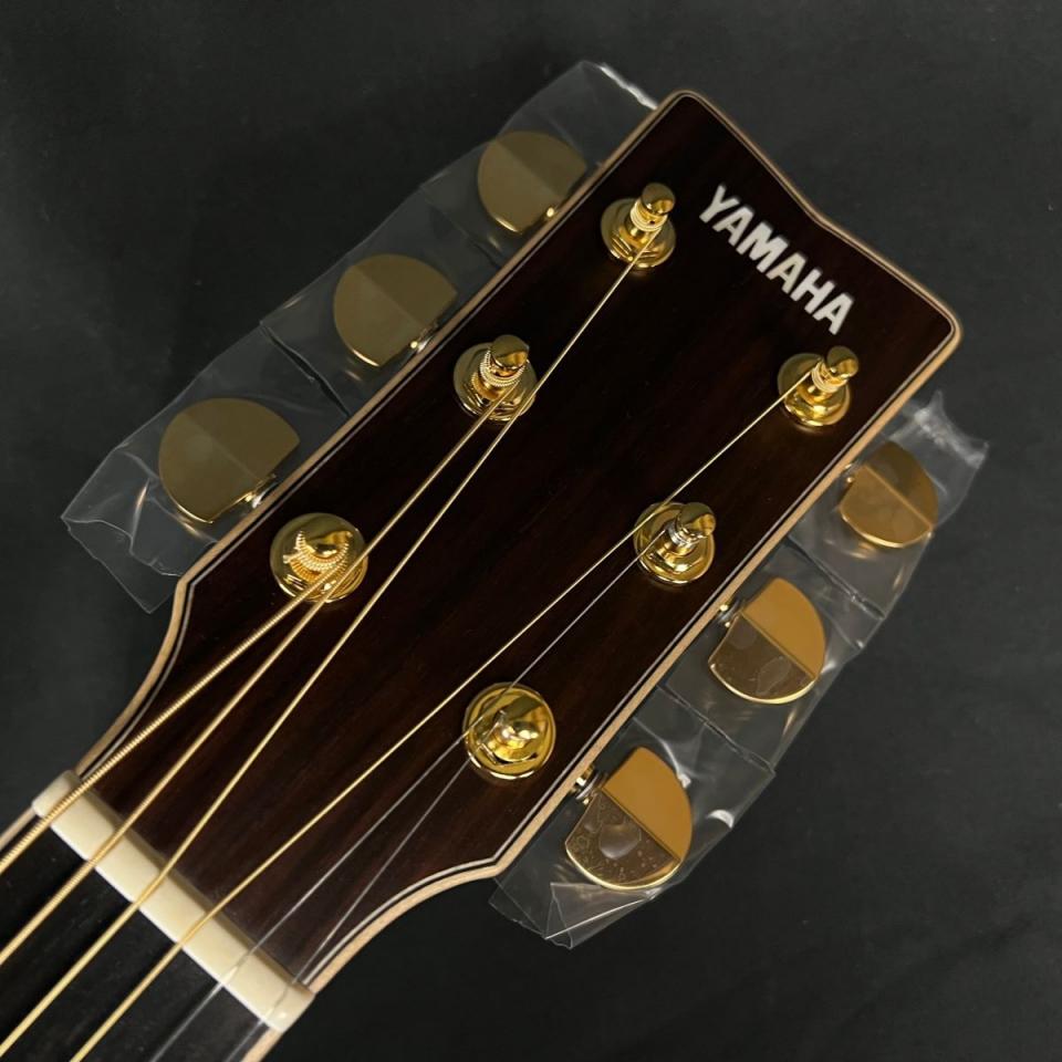 YAMAHA LL36 ARE 【フォークギター】 新品 1138022 YAMAHA