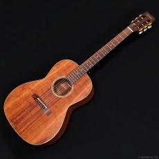 Takamine PTU431K N_2